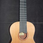 8-string guitar