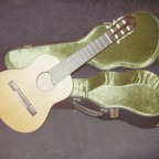 Octave guitar